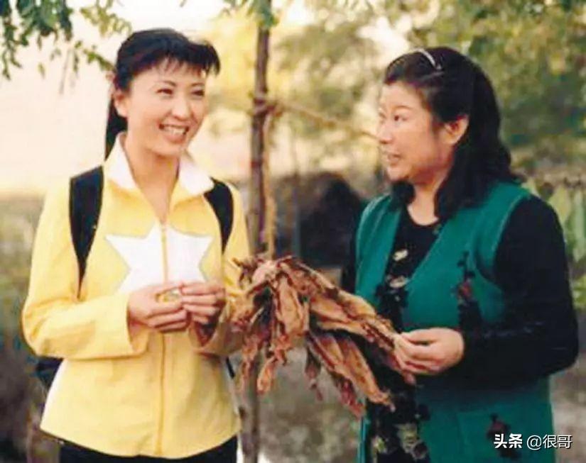 范伟电视剧，时代印记与影视传奇之路