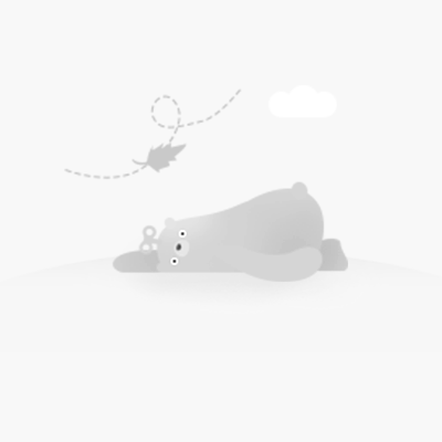 两轮电动车电机价格详解,购买指南与价格解析