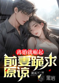 前妻求原谅,爱的回归与友情的纽带——最新章节全览