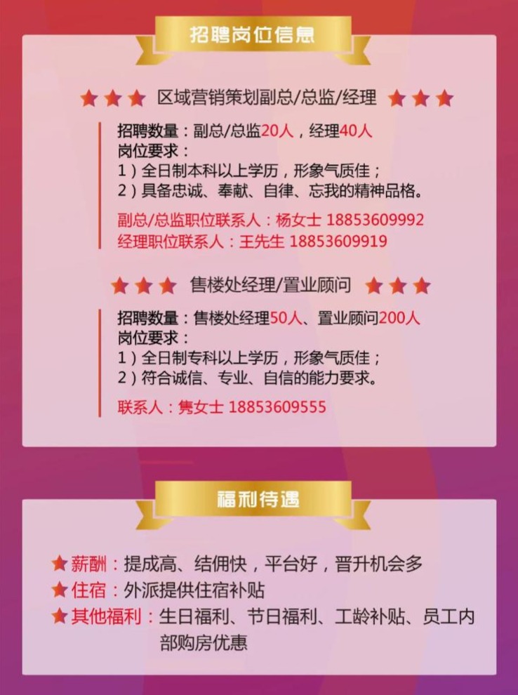 人才网最新职位发布，小巷深处的职场宝藏与特色小店探寻之旅