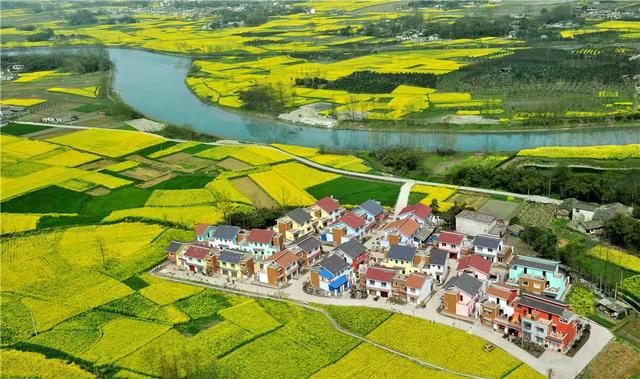 青白江福洪镇最新动态揭秘,小镇的温馨日常新进展