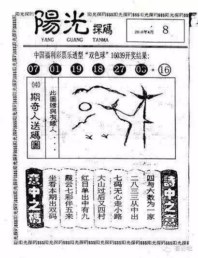 最新彩民乐阳光探码图揭秘，彩票爱好者的新选择