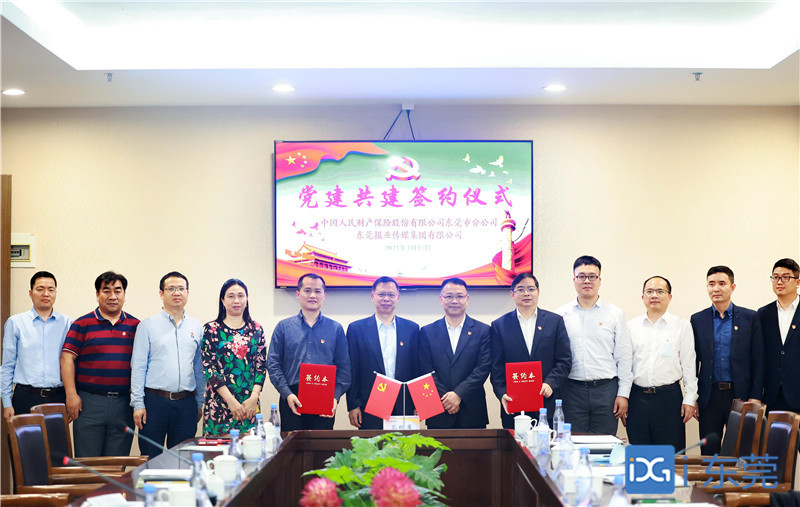 杨松柏最新动态重磅更新揭秘！