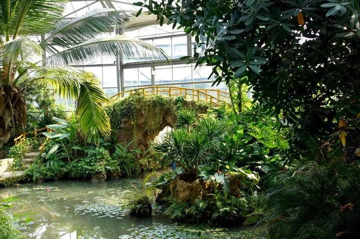 赤橙黄绿青蓝紫,高科技产品璀璨时代重塑生活体验的电视剧之旅