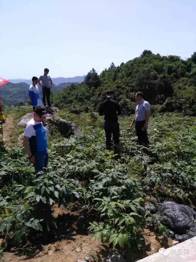 金沙县茶园乡最新动态更新速递