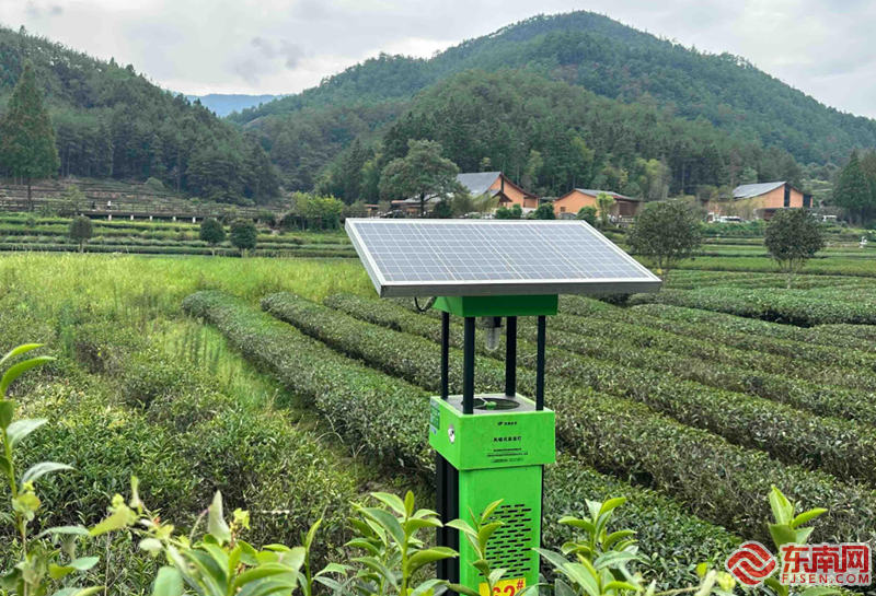 金沙县茶园乡最新动态更新速递