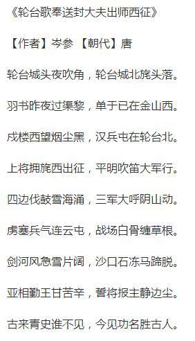 多元视角看待比赛失败,挫折中的启示与成长之路