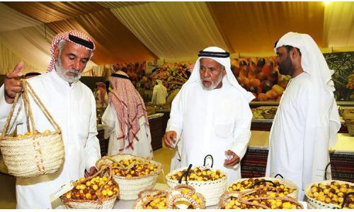 椰枣价格走势解析,市场分析及其影响因素探讨