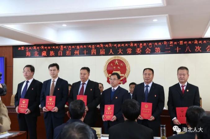 晋宁人事任免最新动态更新，人事调整最新消息揭秘