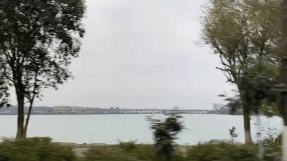 绵阳市龙门镇最新情况概述,最新动态与发展概述