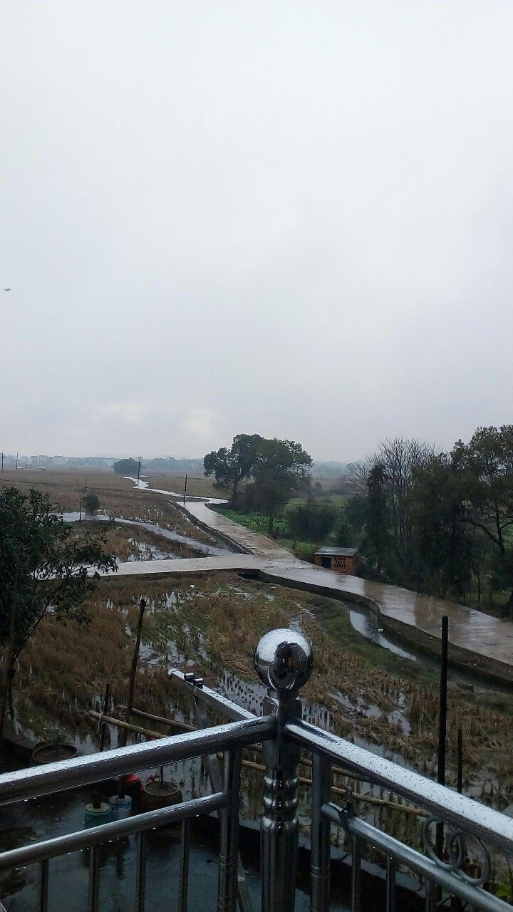 时代背景下的软件崛起,贵溪三最新下载解析