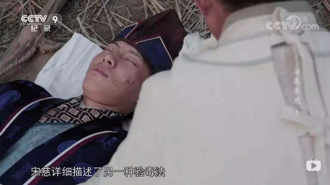 宋慈新片上映,观影指南与技能进阶攻略