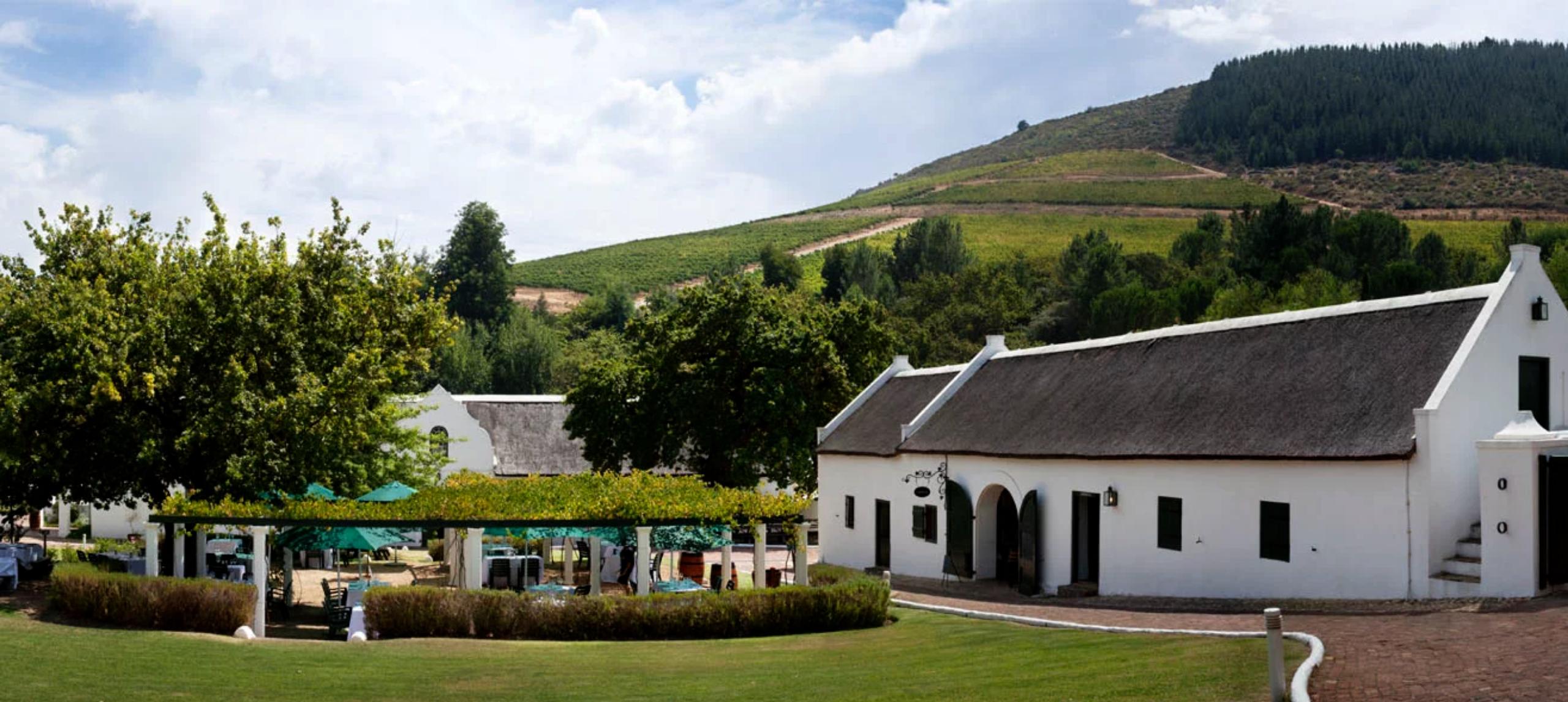 南非疫情最新动态,巷弄深处的抗疫故事与独特小店的奇遇