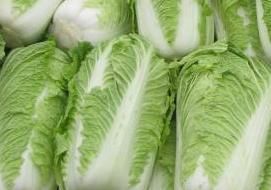 河北省大白菜价格行情解析——科技助力白菜行情尽在掌握