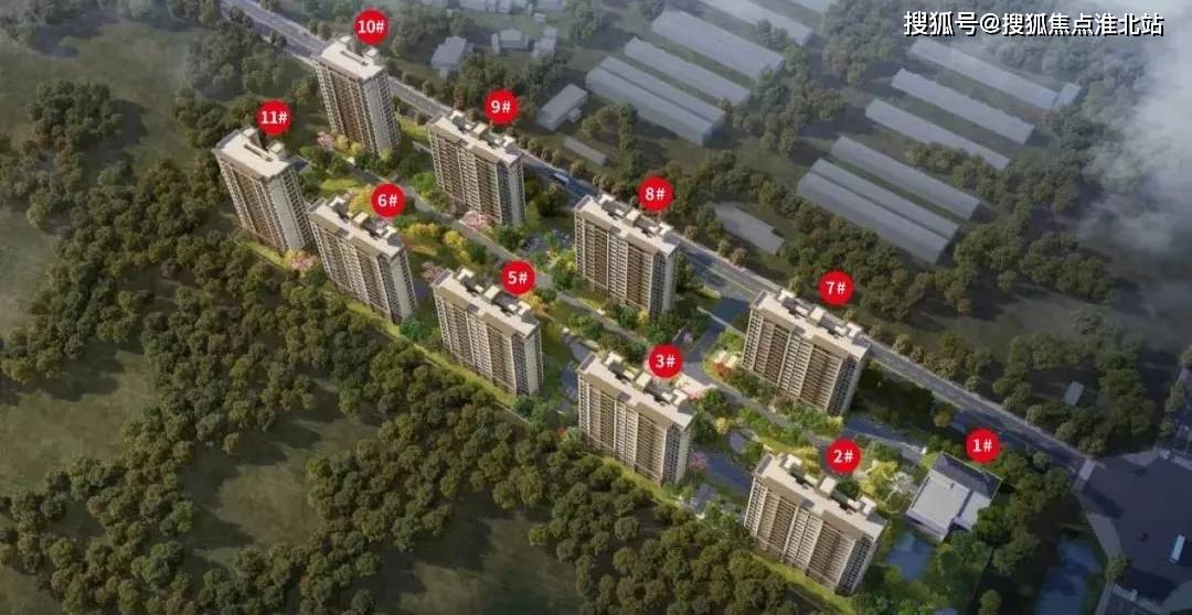 苏州最新动态概览✨