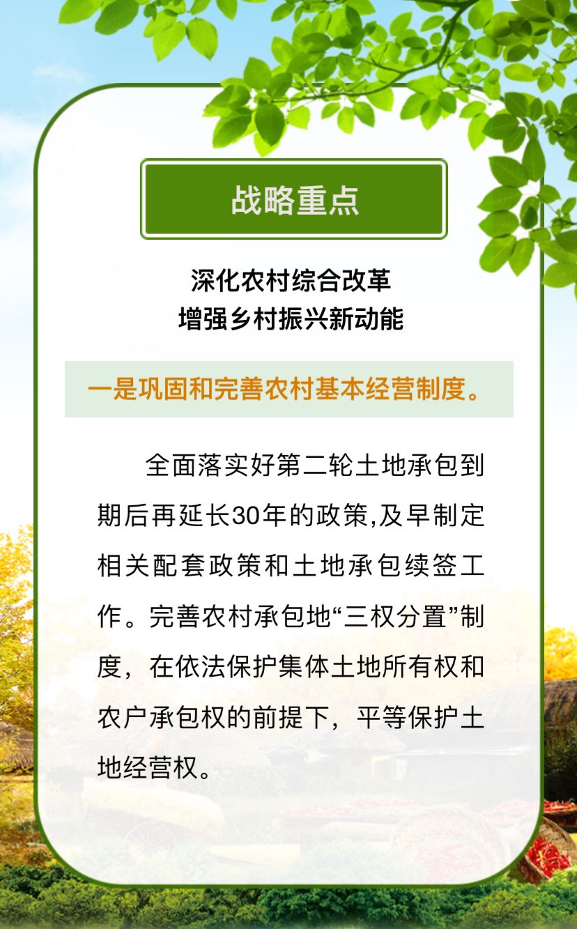 科技重塑乡村面貌，2025年农村最新政策解读与高科技产品介绍