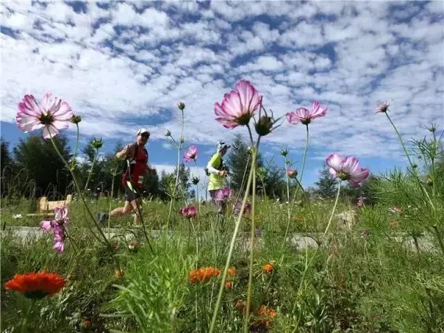 崇礼新鲜资讯，科技潮流引领，重塑生活体验新篇章