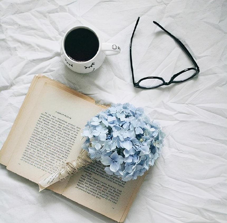 小巷深处的特色小店探秘,最新早安心语一句话送上祝福