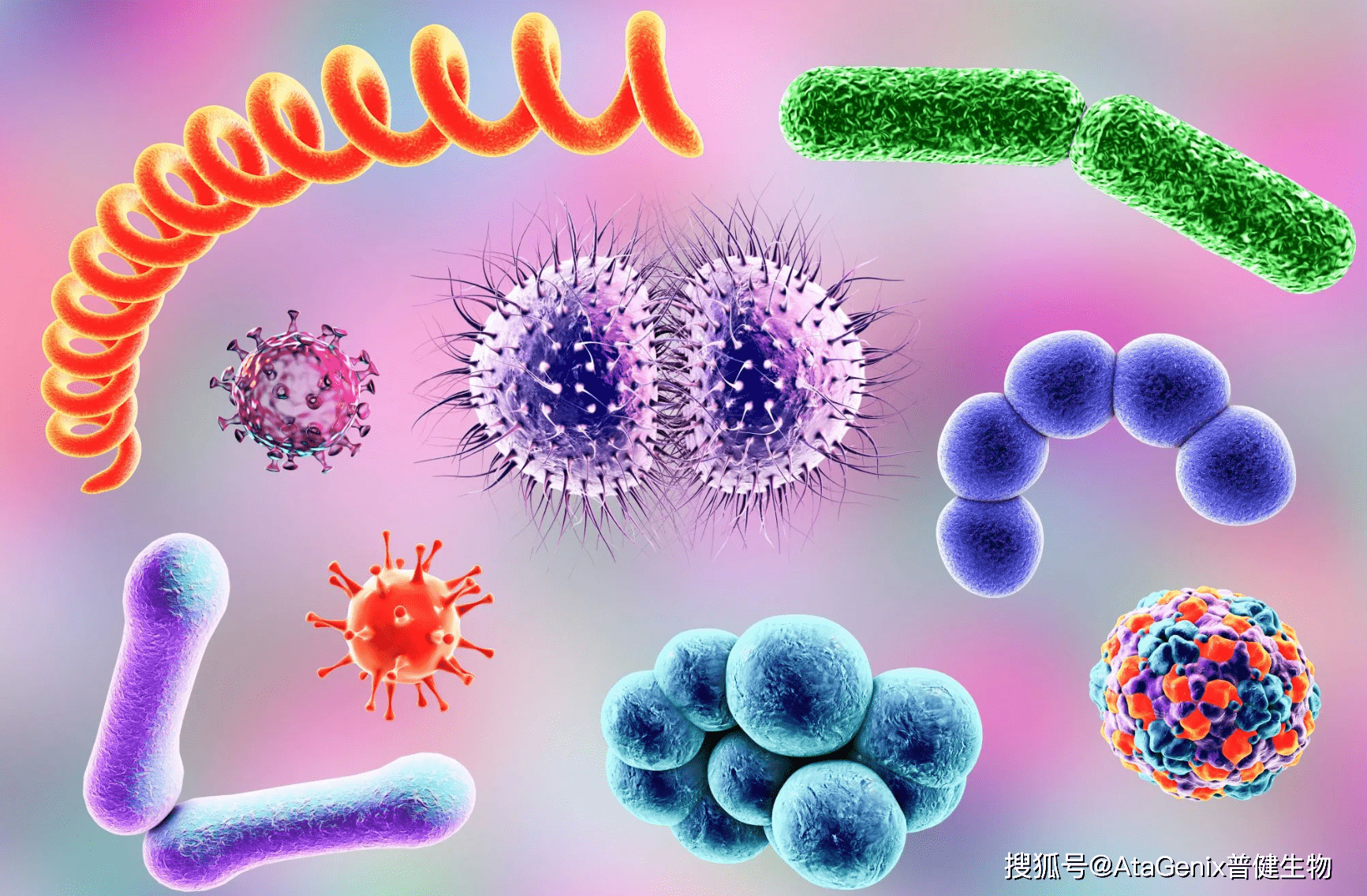 微生物最新研究，微小生命的奥秘与无限可能性探索