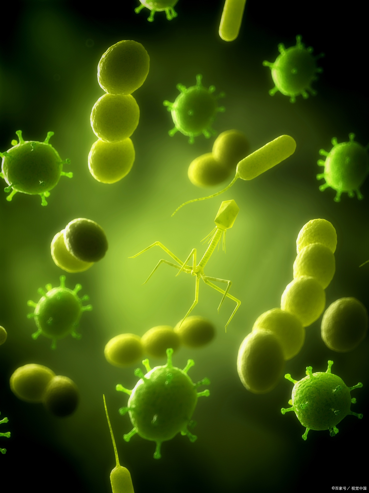 微生物最新研究,微小生命的奥秘与无限可能性探索