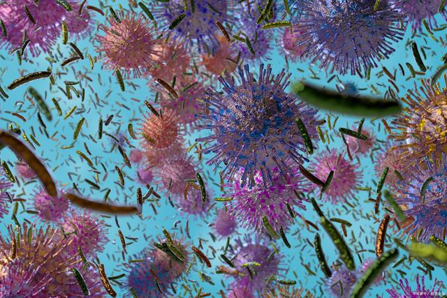 微生物最新研究,微小生命的奥秘与无限可能性探索