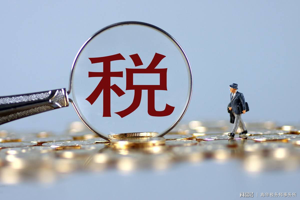 最新税改政策详解与步骤指南