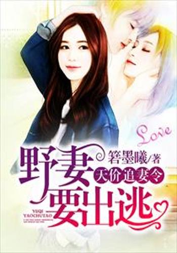 峦最新小说深度探究与启示，深度剖析与感悟分享