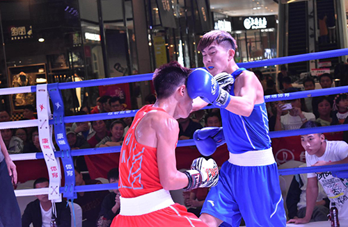 拳击新闻速递,拳台上的温情故事与最新动态