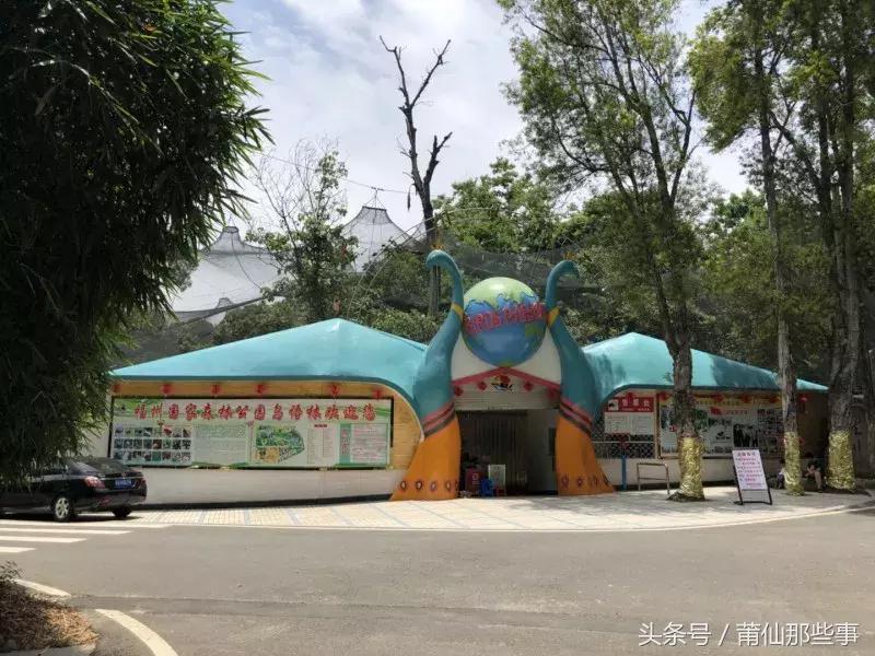 最新iPad探秘之旅，与自然美景的不解之缘，揭示最新iPad几代之谜