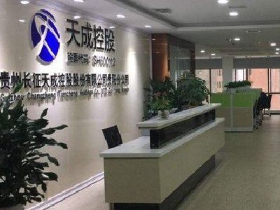 天成控股最新动态，全面指南与步骤解析