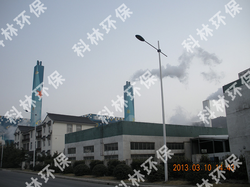 科林环保最新动态,自然美景探索之旅,心灵洗涤与重生体验