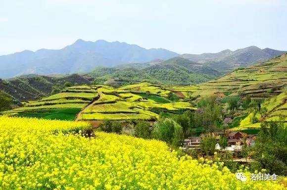 嵩县贴吧最新动态，学习变化，自信塑造未来