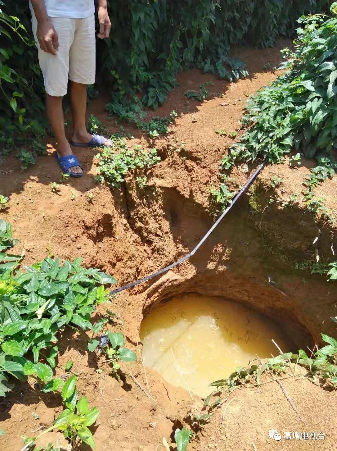 天噜啦最新地址揭秘,一段温馨有趣的日常故事之旅