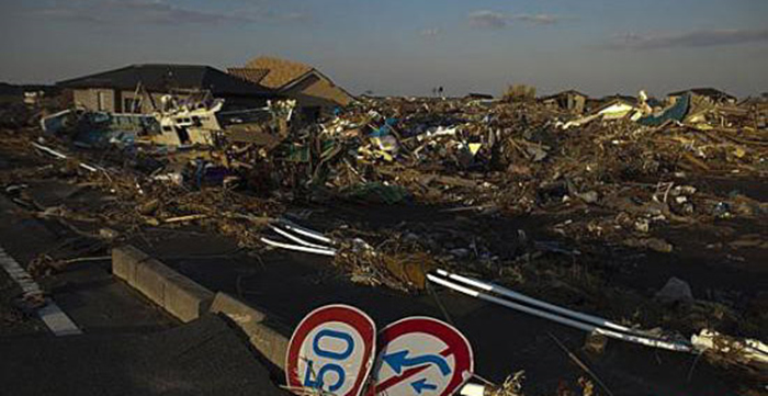 日本东京地震最新动态,变化中的力量与成长艺术