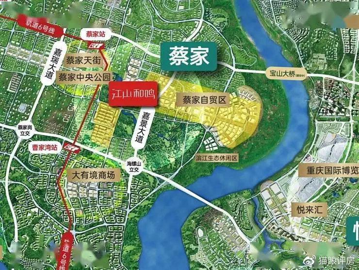 蔡家房价最新动态更新