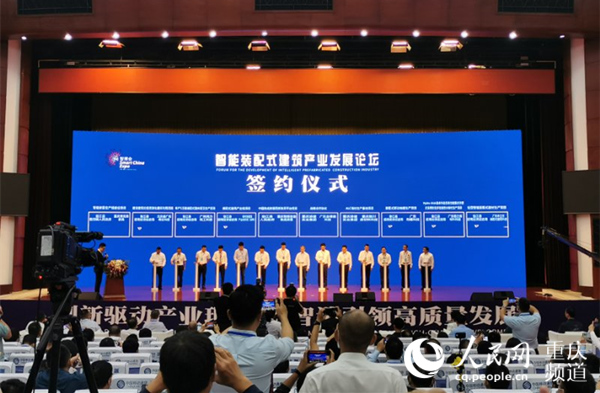 垫江论坛最新动态更新速递