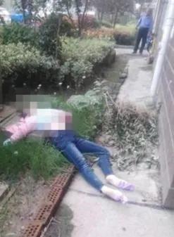 宣汉新闻今日最新消息概述