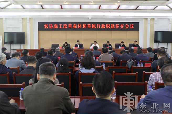 国有林区改革最新动态与森林中的温情故事揭秘