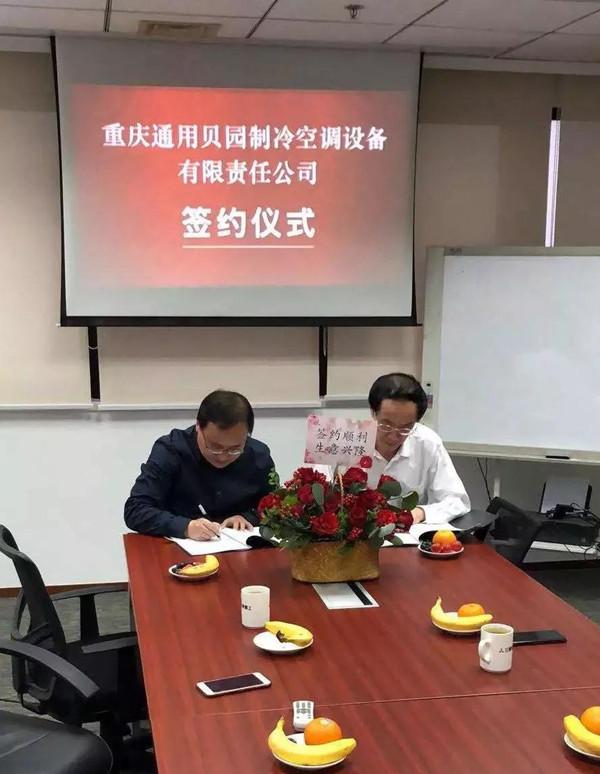 大冷公路最新消息,大冷公路最新消息，巷弄深处的独特风情小店