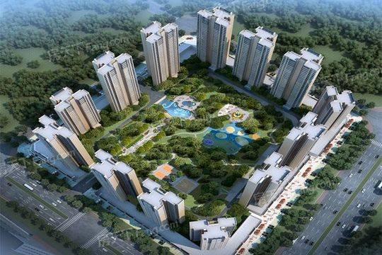 下载苏宁易购最新版,探索变化中的自信与成就感之路