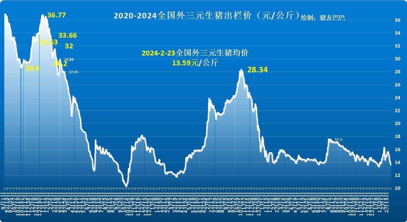 最新市场价格走势分析,趋势与动态