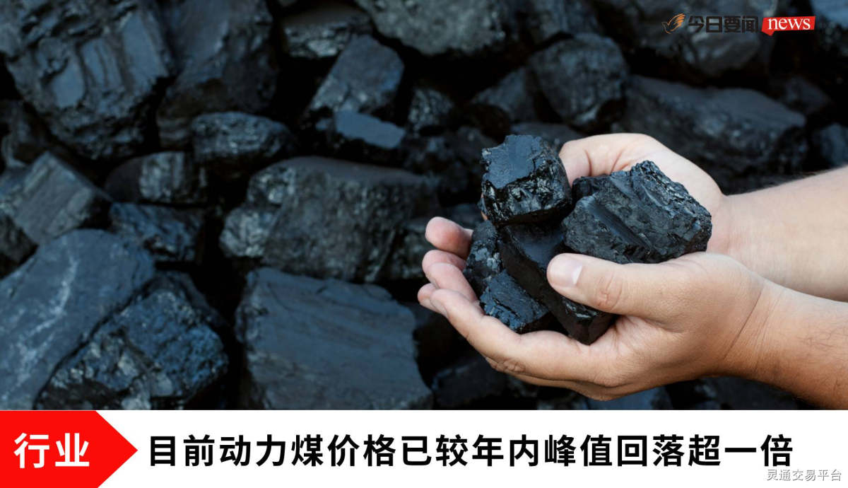 巷弄深处的煤炭宝藏探秘，最新动力煤与小店的独特故事