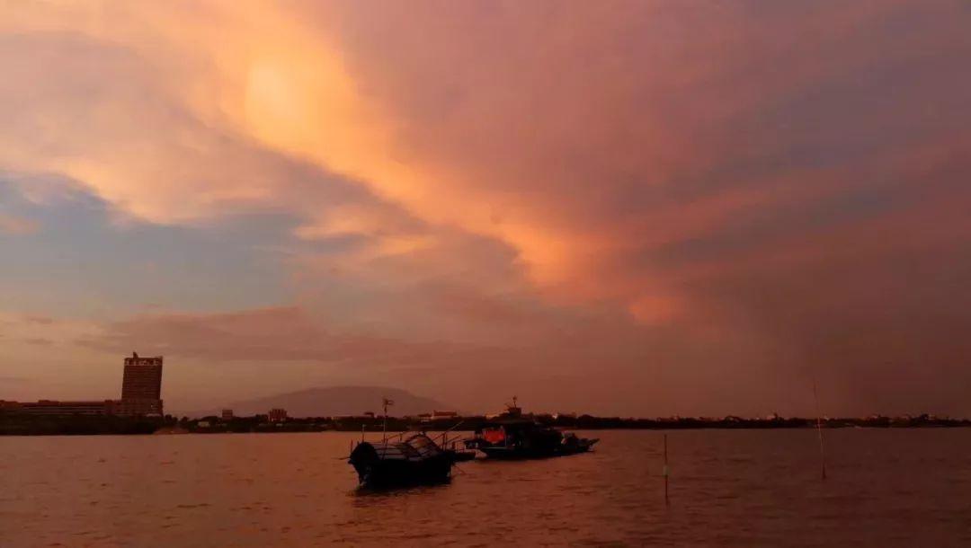 东莞台风最新消息,风雨中的温馨日常
