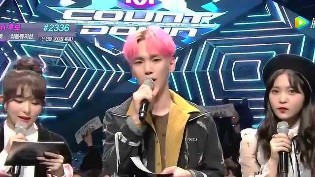 最新流行节目概览与介绍