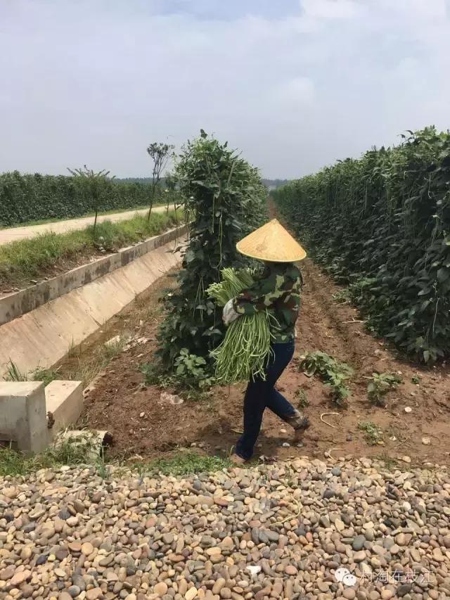 科技浪潮新星崛起,最新创业故事揭秘成功之路