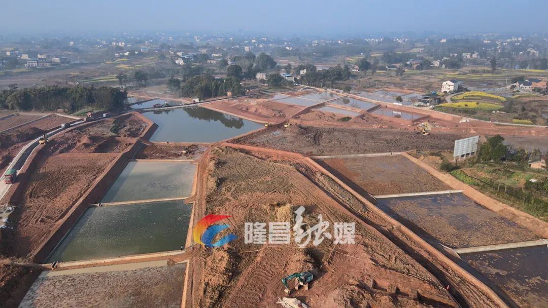 隆昌最新动态，学习变革，自信塑造未来