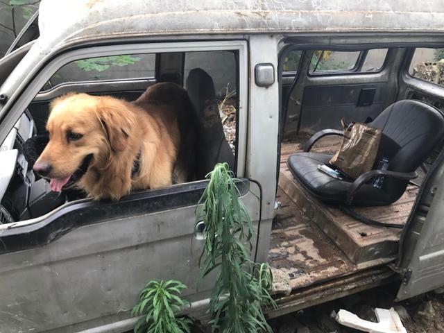 最新自费药品目录概览及解析