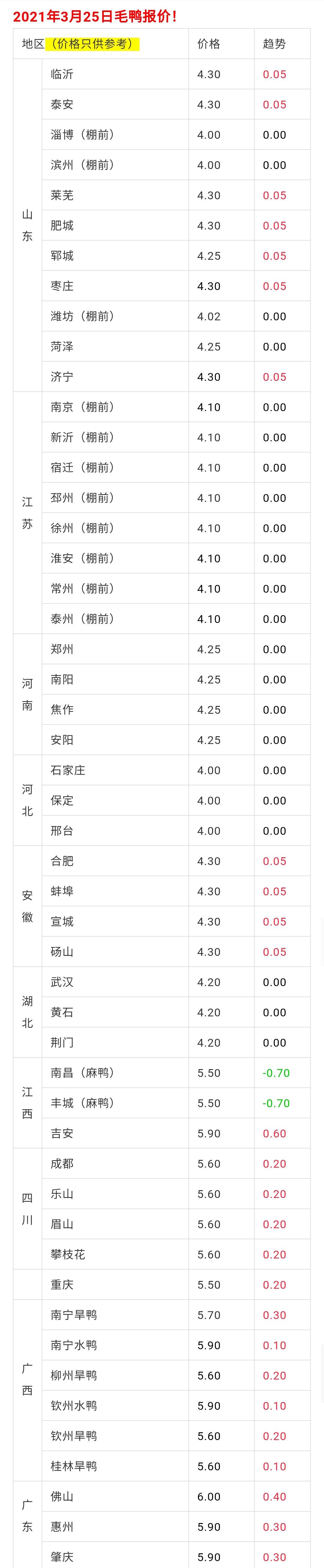毛鸭最新价格及背后的故事揭秘
