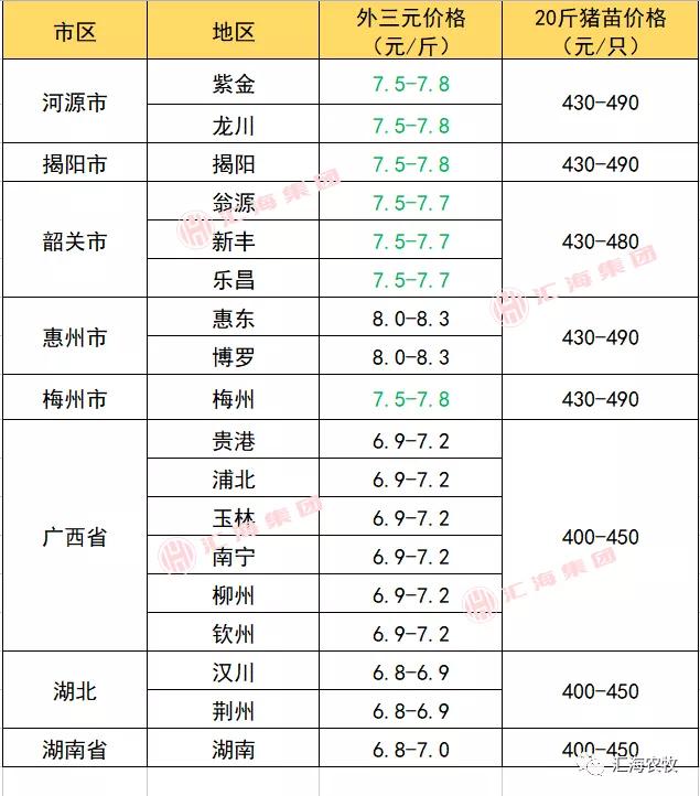 毛鸭最新价格及背后的故事揭秘