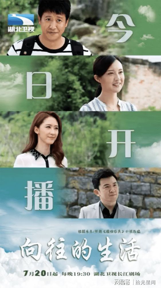 傅晶最新电视剧深度解析及其影响力概览